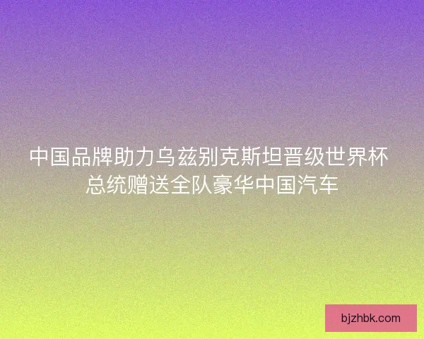 中国品牌助力乌兹别克斯坦晋级世界杯 总统赠送全队豪华中国汽车